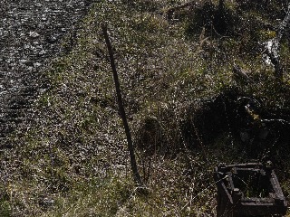 Stump of signal (down starting)