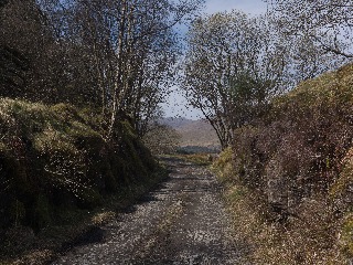 Trackbed